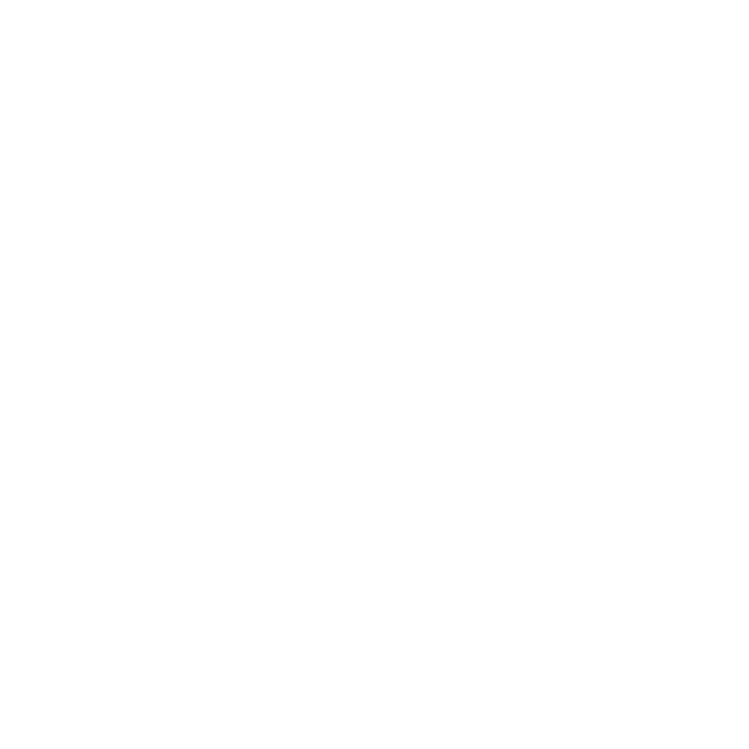 Motorfx Cliente Evolve Agencia de Marketing Digital